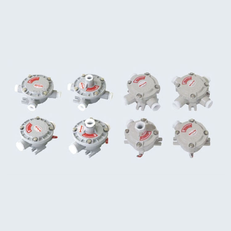 AH系列防爆接線盒(IIB、IIC、Ex tD)