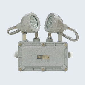 BCJ系列防爆消防應急雙頭照明燈具(IIC)