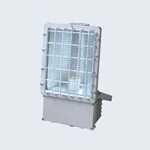 BTd92(C)系列防爆泛光燈(IIB)